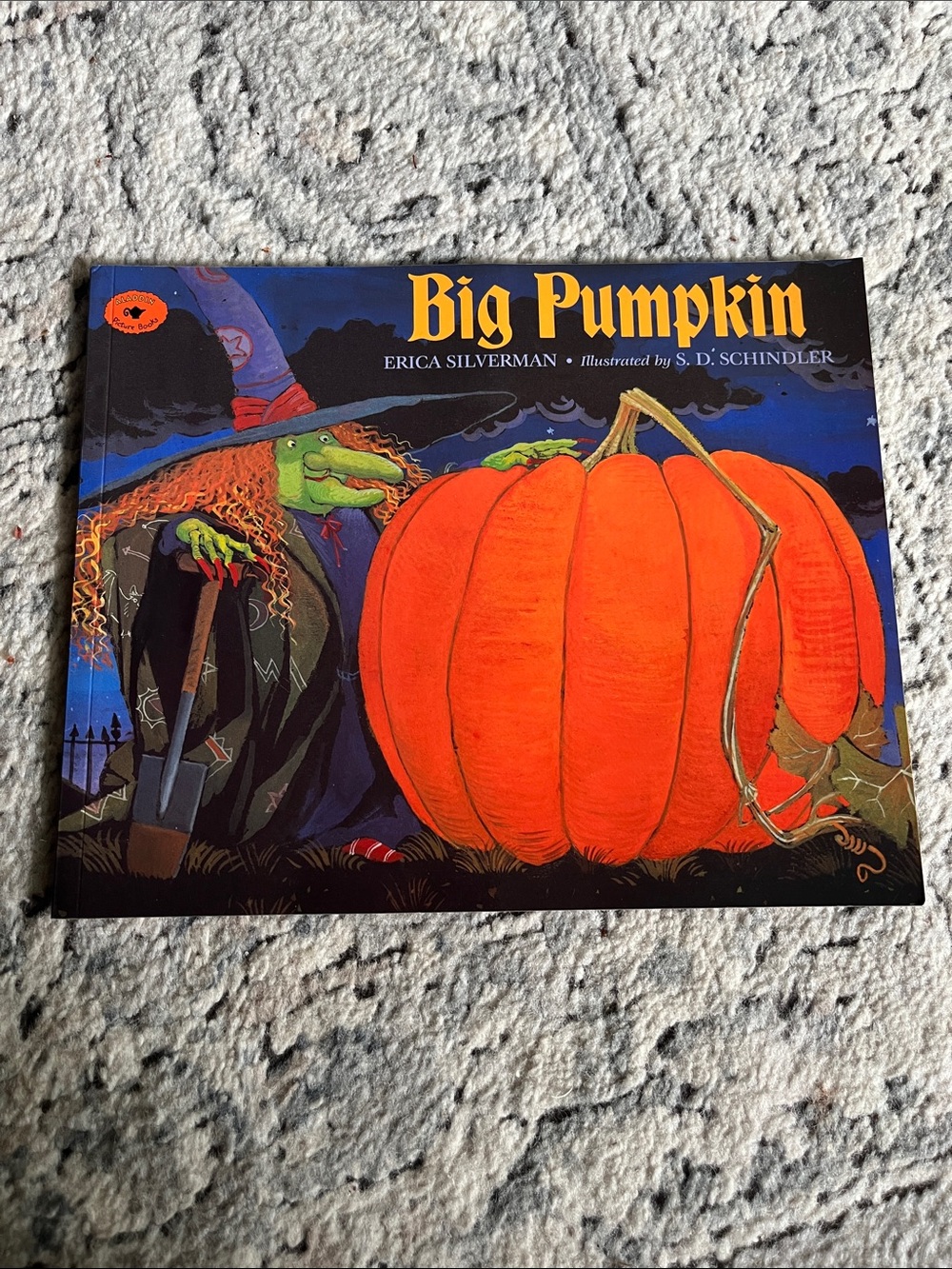 Big Pumpkin illustrated childrens book published 1992